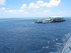 050 Great Barrier Reef
